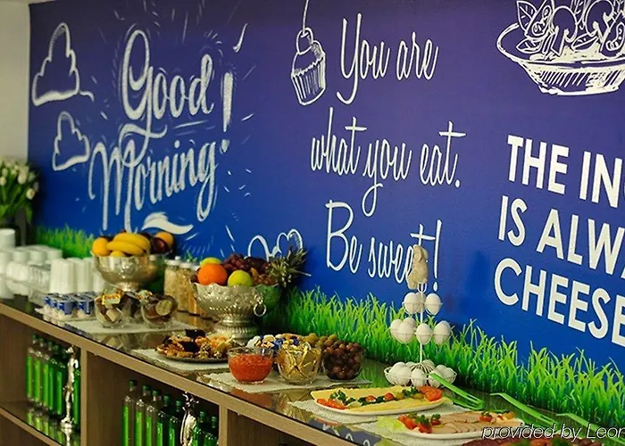 Ibis Styles 酒店 斯科普里